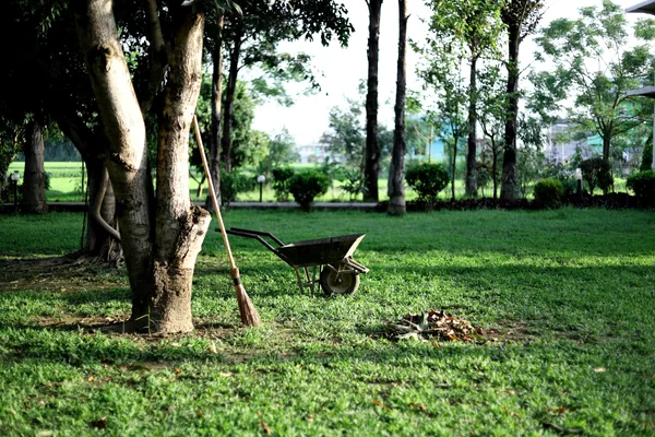 Tu jardín cuidado todo el año en Noáin